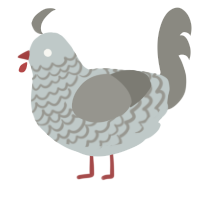 A silver and ash chicken with a lace pattern