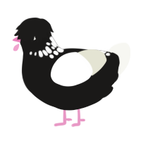 Charcoal Cocktail, a sable and white chicken with a neck-speckle pattern