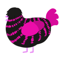 Hot Topic, a sable and fuchsia chicken with a bar pattern