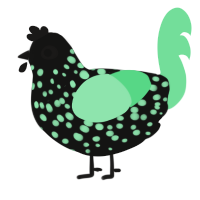 Mint Flavoured Void, a black and spring chicken with a speckle pattern