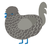 (unnamed), a grey and ash chicken with a lace pattern