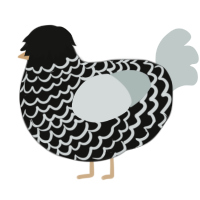 A black and silver chicken with a lace pattern