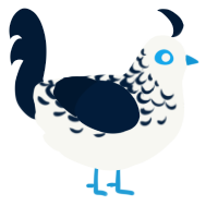 Desdemona, a white and tumblr chicken with a half-lace pattern