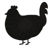 The Abyss, a black and sable chicken with a speckle pattern