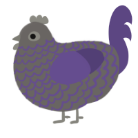 cobweb, a grey and overcast chicken with a lace pattern