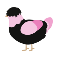 Hope, a black and pink chicken with a head pattern