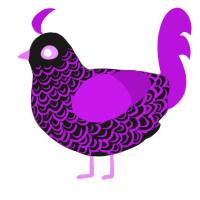 (unnamed), a sable and amethyst chicken with a double-lace pattern