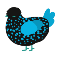 benny, a black and cerulean chicken with a speckle pattern