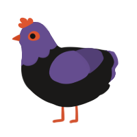 Johen, a sable and overcast chicken with a head pattern