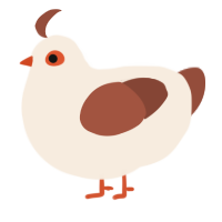 (unnamed), a cream and russet chicken