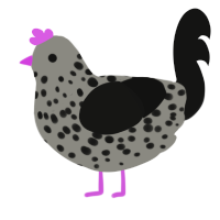 Sooty, a ash and black chicken with a speckle pattern