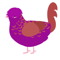 Sunset, a plum and red chicken with a half-lace pattern