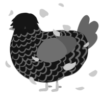 me if i was chicken, a black and grey chicken with a lace pattern