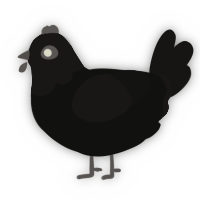 Suspect, a black and sable chicken with a head pattern
