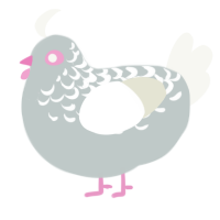 Snort, a silver and white chicken with a half-lace pattern