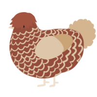 (unnamed), a russet and beige chicken with a lace pattern