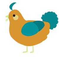 Papaya, a orange and teal chicken