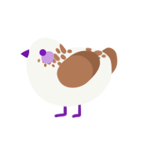 Countdown, a white and vermilion chicken with a neck-speckle pattern