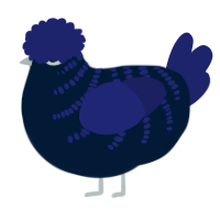 (unnamed), a tumblr and navy chicken with a half-bar pattern