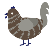 Ido, a bark and ash chicken with a bar pattern