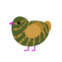 Durian, a olive and gold chicken with a bar pattern