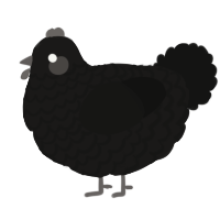 (unnamed), a sable and black chicken with a lace pattern