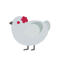 Smudge, a mist and silver chicken with a lace pattern
