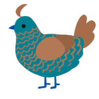 (unnamed), a sea and brown chicken with a lace pattern