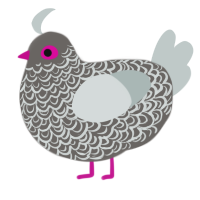 (unnamed), a grey and silver chicken with a double-lace pattern