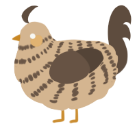 (unnamed), a beige and bark chicken with a bar pattern
