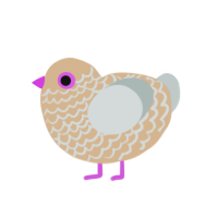 Dove, a beige and silver chicken with a lace pattern