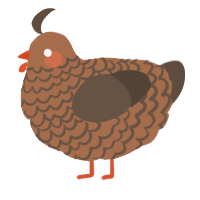 Brick, a brown and bark chicken with a lace pattern