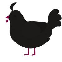 (unnamed), a sable chicken with a half-lace pattern
