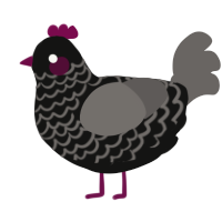 Interstellar Medium, a black and grey chicken with a lace pattern