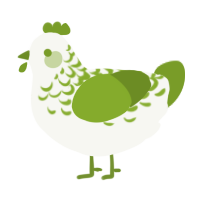 Chartreuse Lace, a white and chartreuse chicken with a half-lace pattern