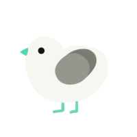 pidge, a white and ash chicken