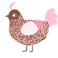 (unnamed), a russet and rose chicken with a double-lace pattern