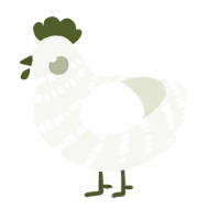 Radish, a white chicken with a bar pattern