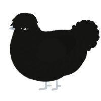 A black chicken with a lace pattern