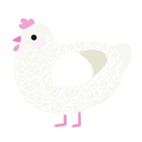 Paper, a white chicken with a double-lace pattern