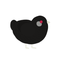Charcoal, a sable chicken with a lace pattern