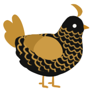 Goldie, a black and gold chicken with a lace pattern