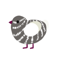 Skeleton, a grey and white chicken with a bar pattern