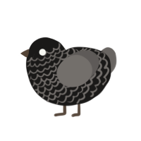 Mop, a sable and grey chicken with a lace pattern