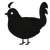 A black chicken with a half-lace pattern