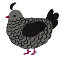 Anatidaephobia, a grey and black chicken with a lace pattern