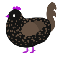 Sophophobia, a black and bark chicken with a speckle pattern
