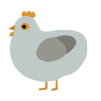 Softie, a silver and ash chicken