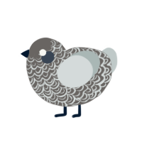 (unnamed), a grey and silver chicken with a double-lace pattern