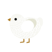Goldie, a white chicken with a lace pattern